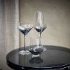 SP Collection set 2 kozarcev za koktajl SECRETS 0,3 l		