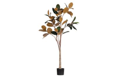 Woood umetna rastlina RUBBER - 170cm
