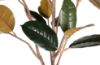 Woood umetna rastlina RUBBER - 170cm