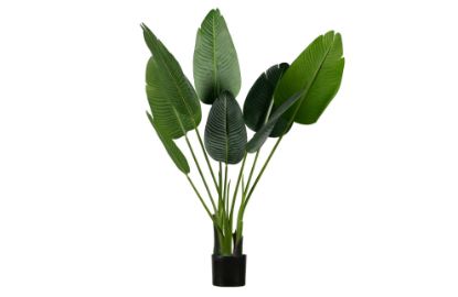 Woood umetna rastlina STRELITZIA - 108 cm