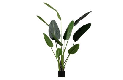 Woood umetna rastlina STRELITZIA - 164 cm