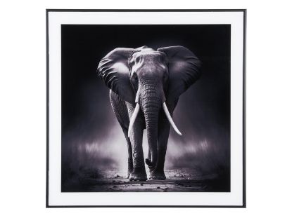 Present Time slika "Elephant" - M