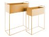Present Time set 2 rastlinskih loncev ESSENCE - oker