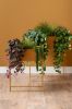 Present Time set 2 rastlinskih loncev ESSENCE - oker