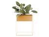 Present Time set 2 rastlinskih loncev ESSENCE - oker