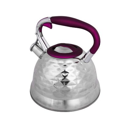 Altom Design čajnik OLIVIER - 3,0l- srebrn